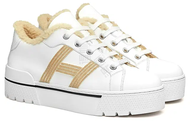 HERMES Dare