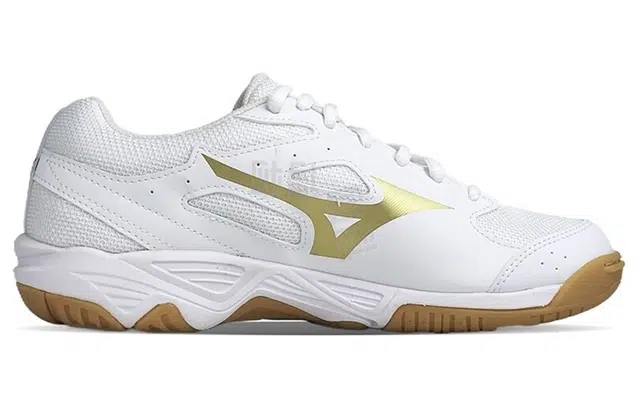 Mizuno Cyclone Speed CN