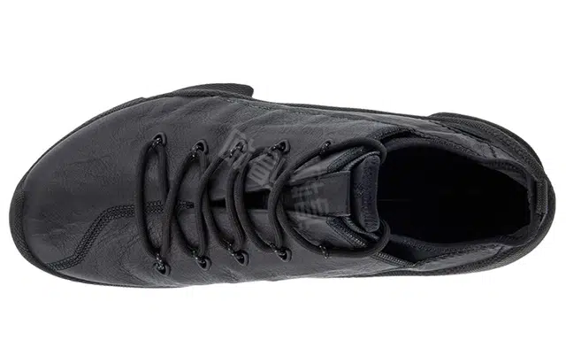 ecco Biom C Trail