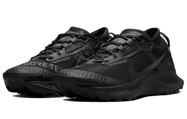 Nike Pegasus Trail 3 GTX