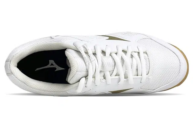 Mizuno Cyclone Speed CN