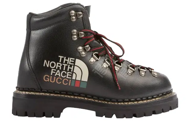 THE NORTH FACE x GUCCI