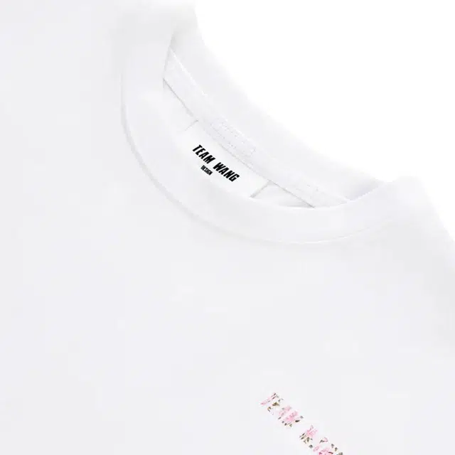 TEAM WANG design T