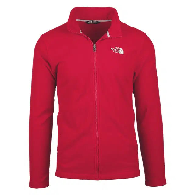 THE NORTH FACE men's 200wt tundra full zip