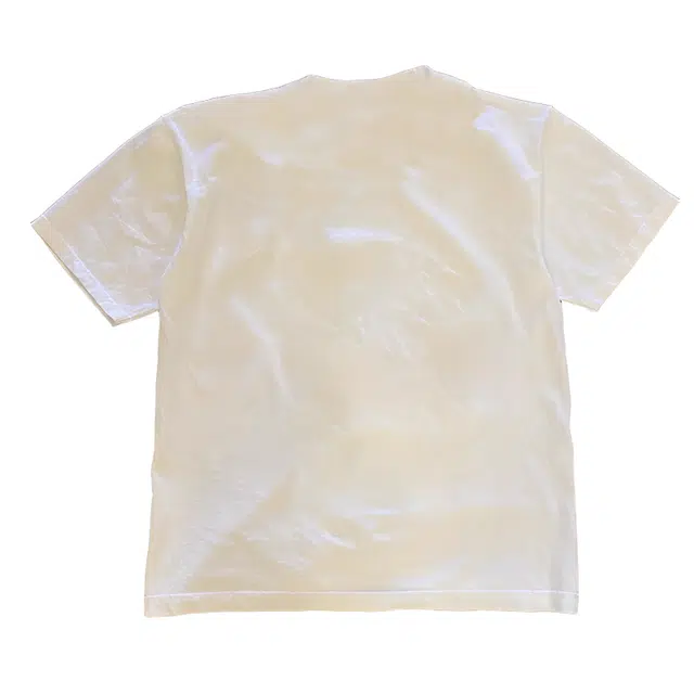 WBWR T