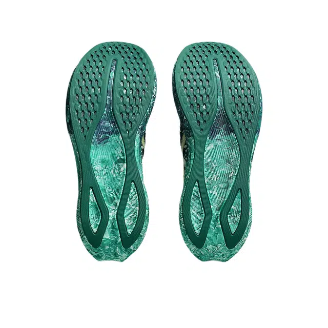 Asics NOOSA TRI 16