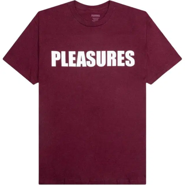 PLEASURES FW24 LogoT