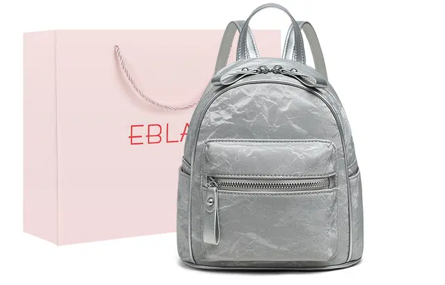 EBLAN ins