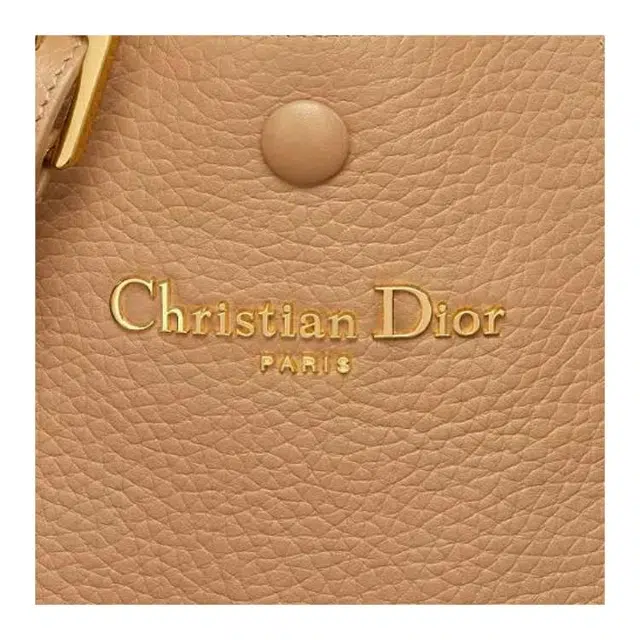 DIOR Signature