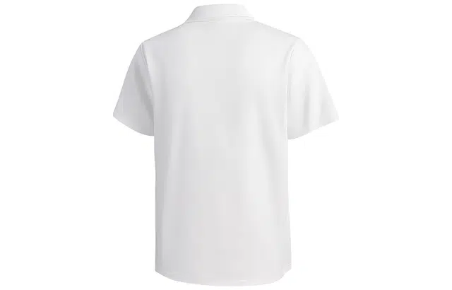 LOOX logoPOLO