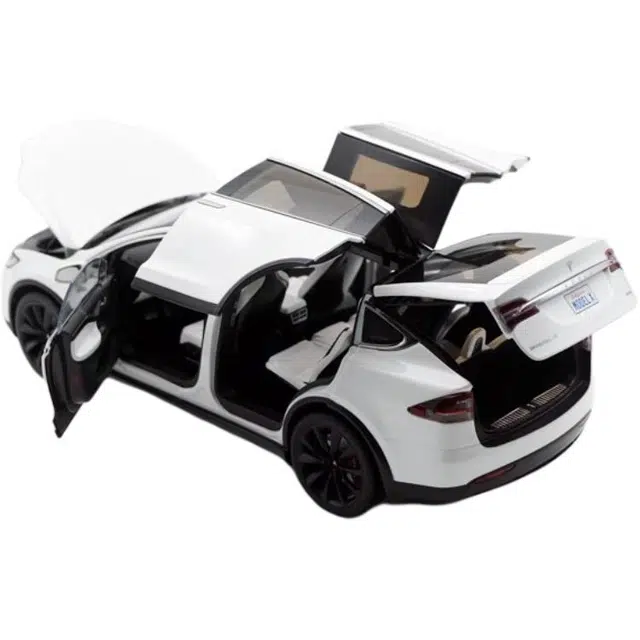 118 MODEL X SUV