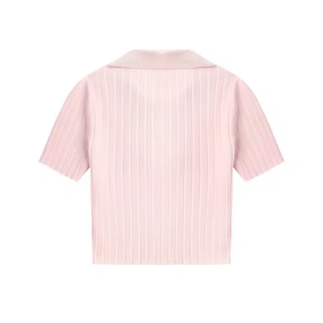 alexander wang T