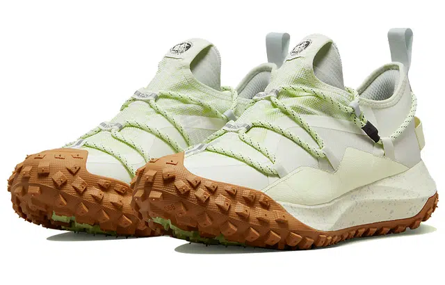 Nike ACG Mountain Fly Low GTX SE