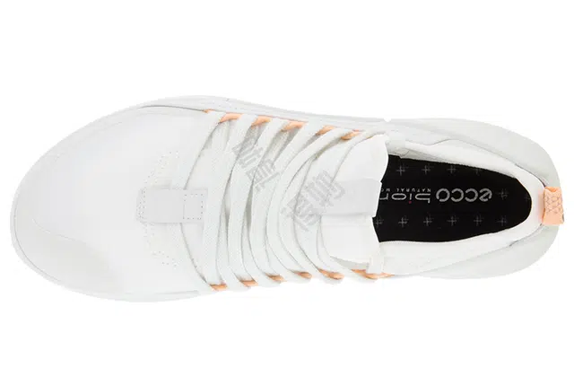 ecco Biom 2.0