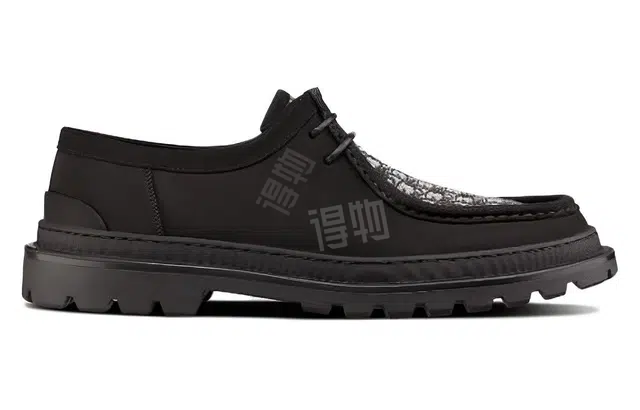 DIOR Dior Explorer