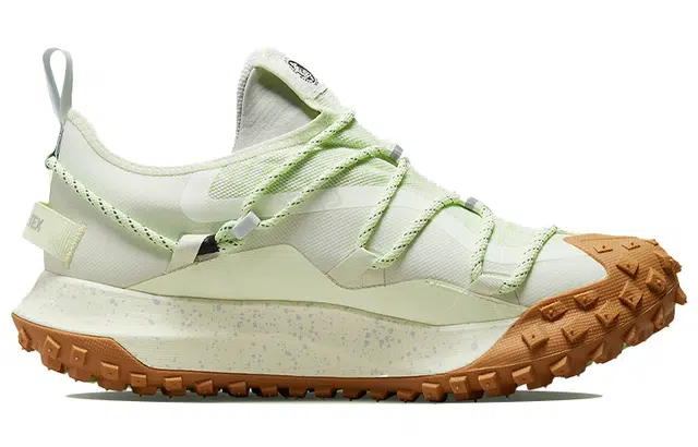 Nike ACG Mountain Fly Low GTX SE
