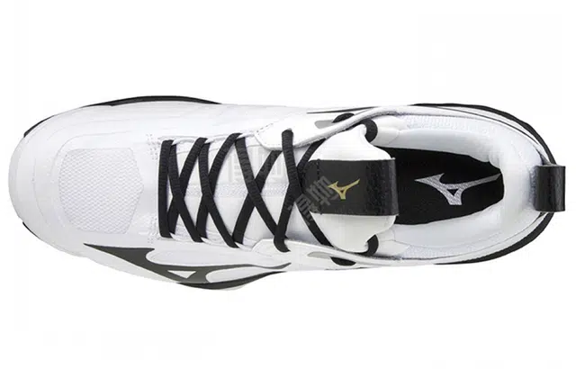 Mizuno Wave Momentum 2