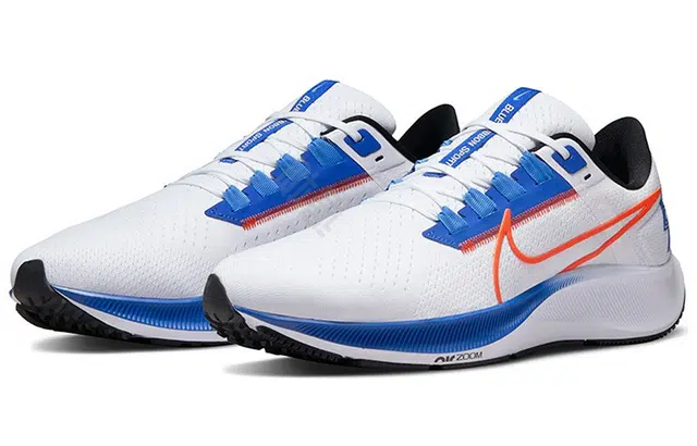 Nike Pegasus 38