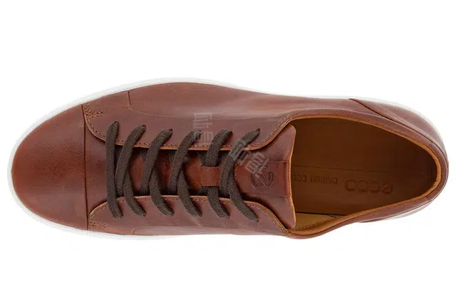ecco 7