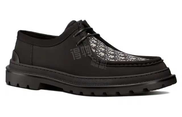 DIOR Dior Explorer