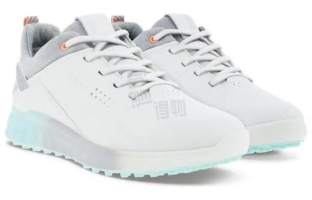 ecco S-three