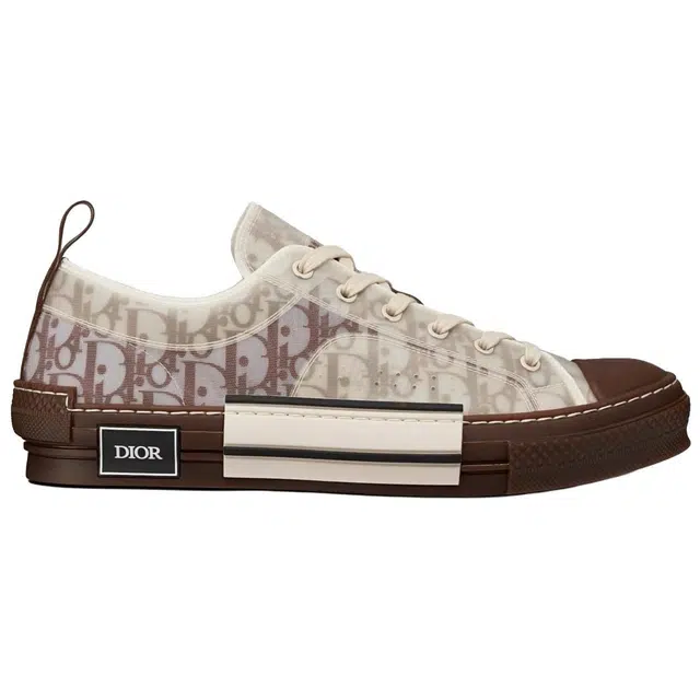 DIOR B23 Oblique