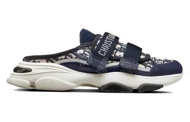 DIOR D-Wander