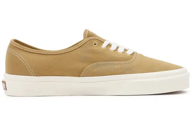 Vans Authentic Eco Theory