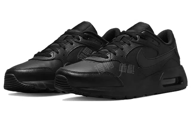 Nike Air Max SC Leather