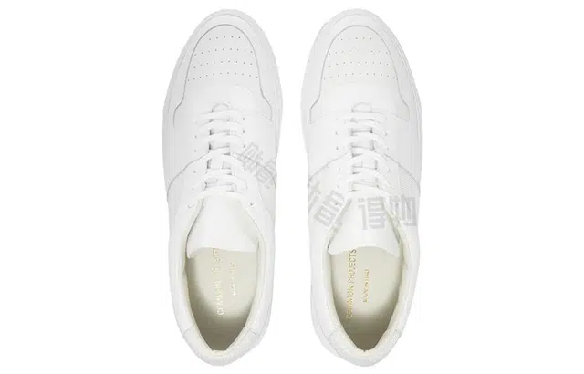 COMMON PROJECTS