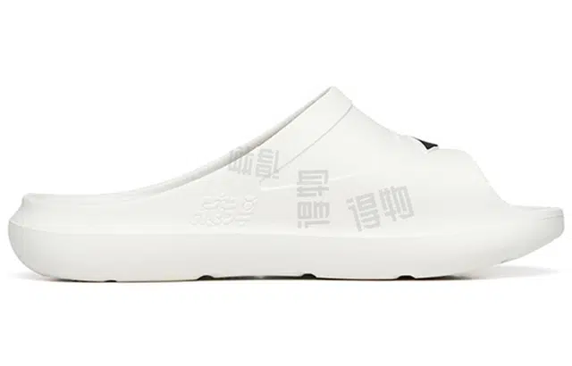 Anta C37
