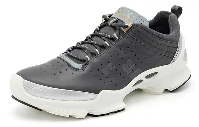 ecco C