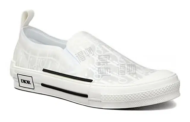 DIOR B23