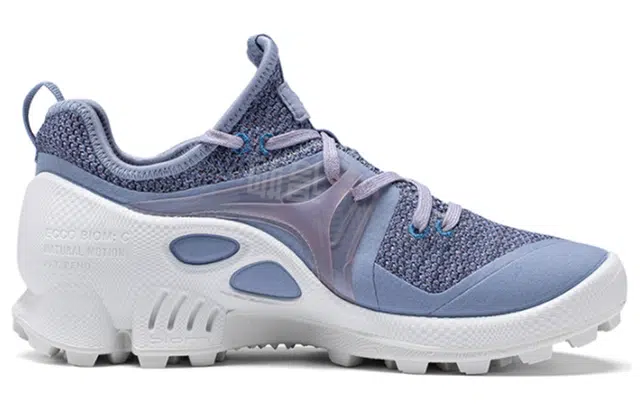ecco Biom C Trail