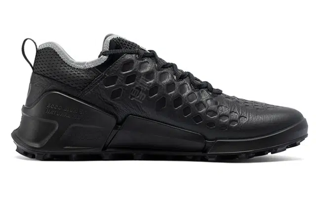 ecco 2.1