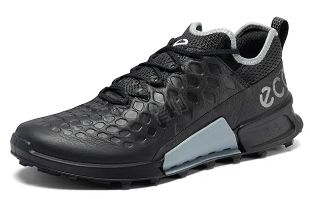 ecco 2.1