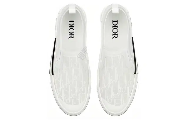 DIOR B23