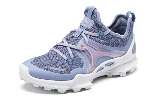 ecco Biom C Trail