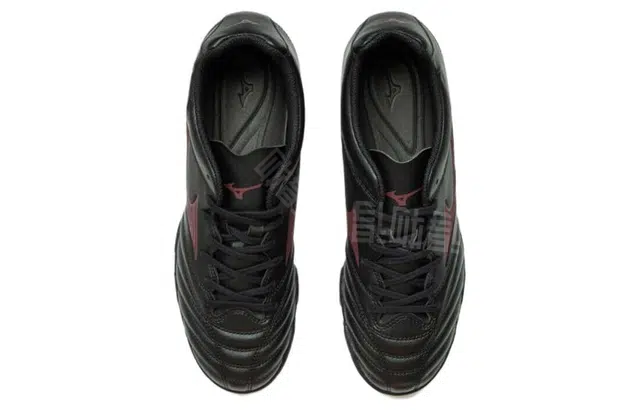 Mizuno Monarcida Neo II
