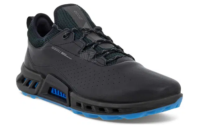 ecco Biom C4