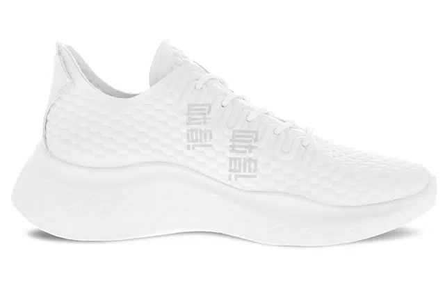 ecco Therap