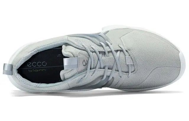 ecco C