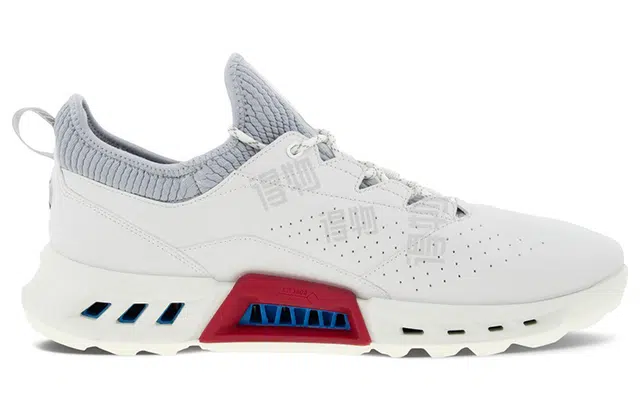x ecco Biom C4