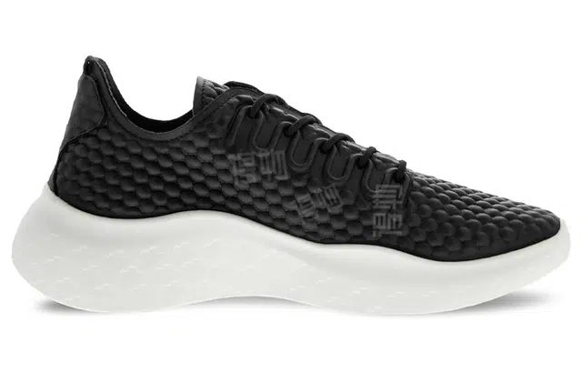 ecco Therap