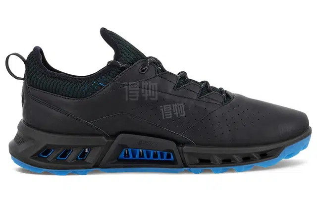 ecco Biom C4