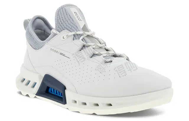 x ecco Biom C4