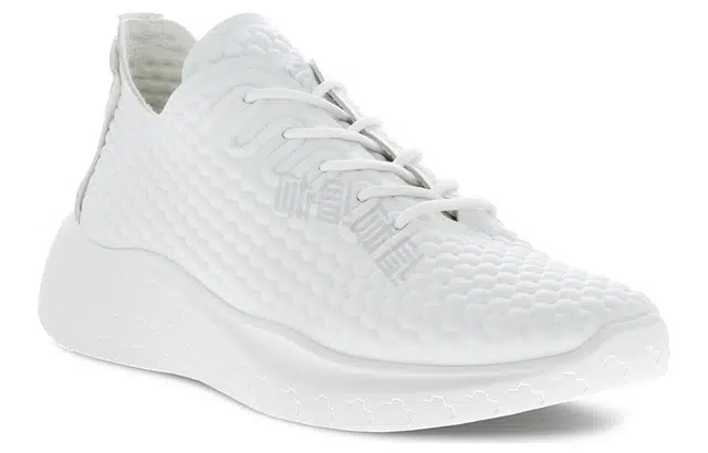 ecco Therap