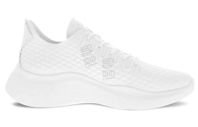 ecco Therap