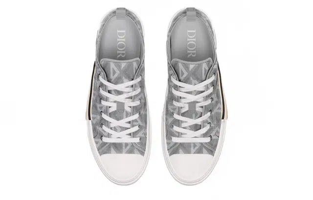 Dior B23