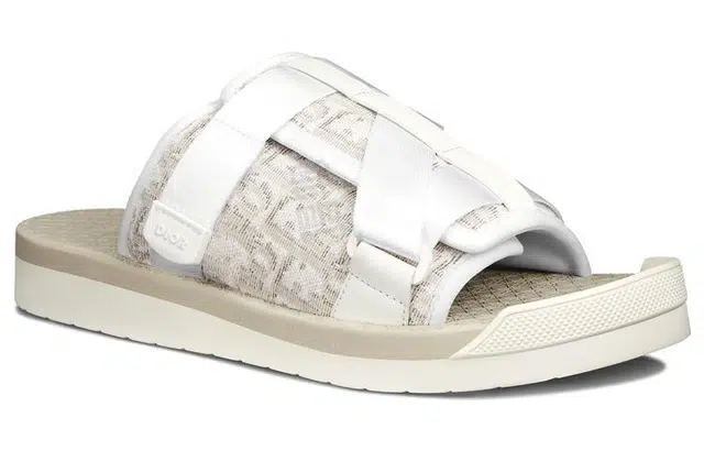 DIOR Alpha